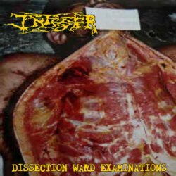 INFESTER - "Dissection Ward Examinations" MLP