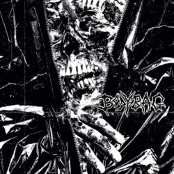 BODYBAG - "Discography" DLP