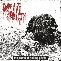 MULL - "The Sound Of Melting Gristle" LP