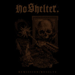 NO SHELTER. - "Remission/Resolve" LP