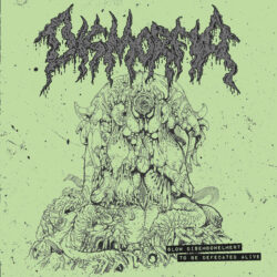 DISMORFIA - "Slow Disembowelment To Be Defecated Alive" 7"