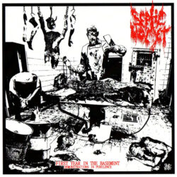 SEPTIC VOMET - "First Year In The Basement / Demonstrations In Purulence" 7"