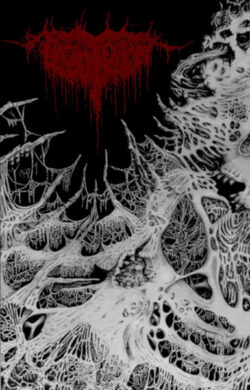 PLOUTONION - "Ceaseless Echoes Of Forgotten Souls" MC