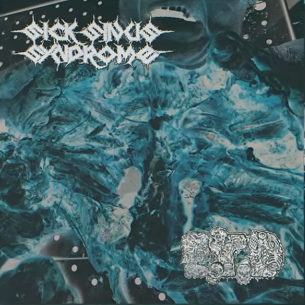 SICK SINUS SYNDROME / EAT THE DECAY split-LP
