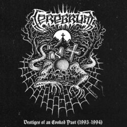 CEREBRUM - "Vestiges Of An Evoked Past" DLP