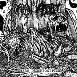 RAW ADDICT - "Swarm Decomposition" CD
